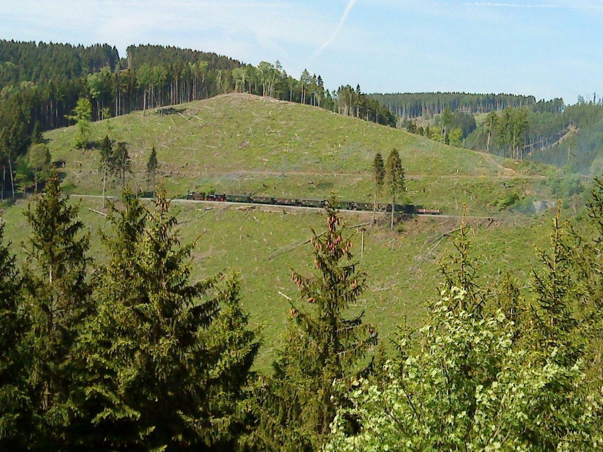 Ferienhaus Am Westerntor I Вернігероде Екстер'єр фото